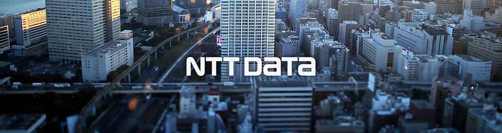 NTT Data Hero